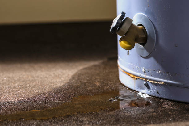 Best Sewage cleanup and water damage restoration  in Sheridan, OR