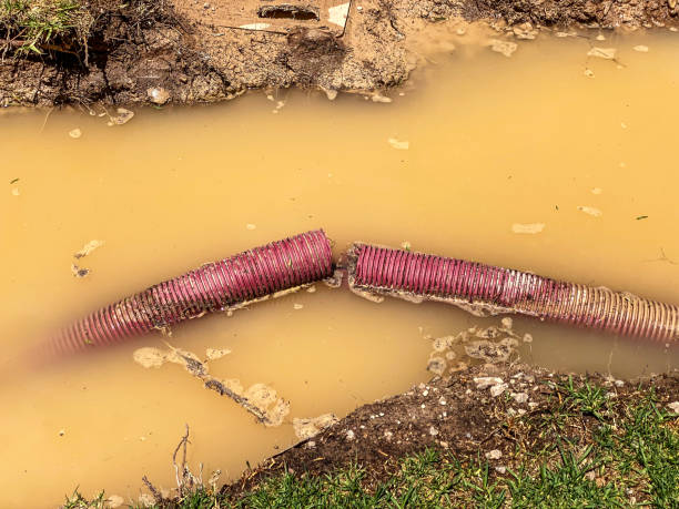 Best Water damage cleanup near me  in Sheridan, OR