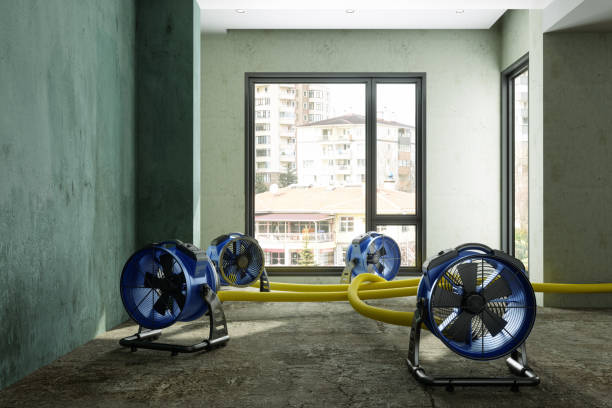 Best Local water damage restoration  in Sheridan, OR